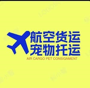 机场空运
