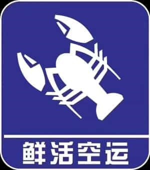机场空运